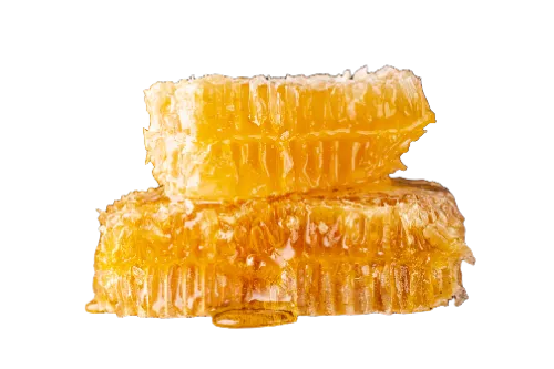 Petek Bal – 1 KG